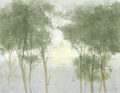 Image Not Available